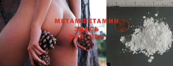 крисы Аркадак